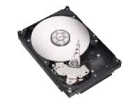 Seagate NL35 Series ST3400832NS