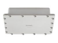 Avaya WLAN Outdoor Access Point 9122
