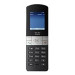 Cisco Small Business SPA302D