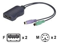 Black Box USB to PS/2 Converter