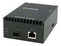 Perle S-10GT-SFP
