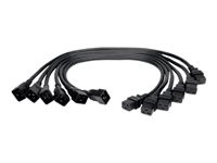 Tripp Lite 2ft Power Cord Extension Cable C19 to C20 Heavy Duty 20A 12AWG 2' 6-pack 6pc