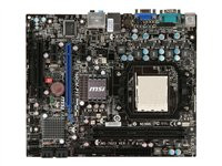 MSI 760GM-P33