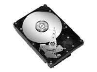 Seagate Barracuda 7200.10