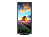 NEC MultiSync EA294WMi-BK