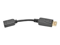 Tripp Lite 6in DisplayPort to HDMI Adapter Converter DP to HDMI M/F 6"