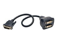 Tripp Lite 1ft DVI Y Splitter Video Monitor Cable DVI-D M/2xF 1'