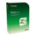 Microsoft Excel 2010