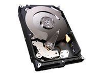 Seagate Desktop HDD STBD3000100