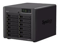 Synology Disk Station DS2411+