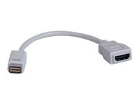 Tripp Lite Mini DVI to HDMI Adapter Converter Video Cable for Macbooks / iMacs M/F