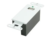 C2G USB 1.1 Over Cat5 Superbooster Extender Wall Plate Kit