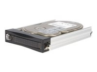 StarTech.com Extra 3.5in Hot Swap Hard Drive Tray for SATA and SAS Backplanes