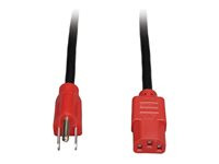 Tripp Lite 4ft Computer Power Cord Cable 5-15P to C13 Red 10A 18AWG 4'