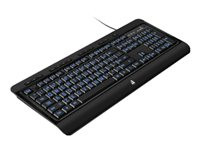 Aluratek Large Print Tri-Color Illuminated USB Keyboard