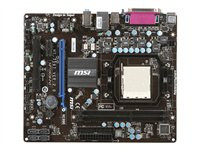 MSI NF725GM-P43