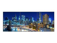 NEC MultiSync EX241UN-TMX6G