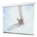 Draper Targa HDTV Format
