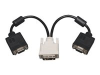 Tripp Lite 1ft DVI to VGA Splitter Adapter Converter DVI-A Analog M to 2x HD15F 1'