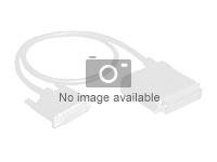 Quantum Y-Cable