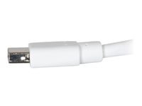 C2G Mini DisplayPort Cable