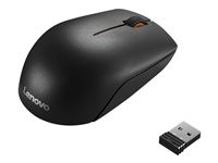 Lenovo 300 Wireless Compact