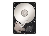 Seagate SV35.2 Series ST3250820AV