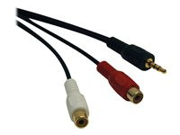 Tripp Lite 6in Mini Stereo to 2RCA Audio Y Splitter Adapter Cable 3.5mm 2xF/M 6"