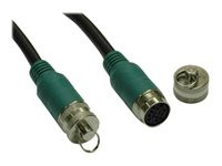 Tripp Lite 100ft Easy Pull Long Run Display Cable Type-A Analog PVC Trunk Cable F/F 100'