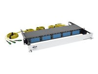 Tripp Lite 8.3/125 OM4 Pre-assembled 40GB-10GB Patch Panel 15MTP QSFP-60 LC
