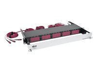 Tripp Lite 50/125 OM4 Pre-assembled 40GB-10GB Patch Panel 15 MTP QSFP-60 LC