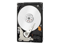 WD Blue WD3200BEVE