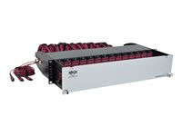 Tripp Lite 50/125 OM4 Pre-assembled 40GB-10GB Patch Panel 42 MTP QSFP-168LC
