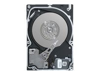 Seagate Enterprise Performance 15K HDD ST973452SS
