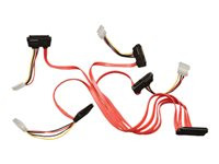 Tripp Lite 24in Internal SAS Cable 4-Lane SFF-8484 to 4 x SFF-8482 24"