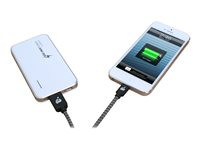 IOGEAR GPUL01