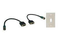 Tripp Lite Easy Pull Type-A VGA Connector Kit RGB with Faceplate M/F