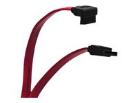 Tripp Lite 24in Serial ATA SATA Right Angle Signal Cable 7Pin / 7Pin-Down 24"