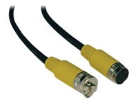 Tripp Lite 100ft Easy Pull Long Run Display Cable Type-B Digital PVC Trunk Cable F/F 100'