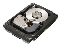 Seagate Cheetah NS.2