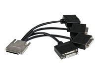 StarTech.com VHDCI to Quad DVI-D Splitter Breakout Cable