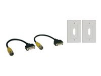 Tripp Lite Easy Pull Home Theatre DVI Cable Kit-DVI-D Single Link with Faceplates F/F
