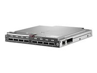 HPE 6Gb SAS BL Switch