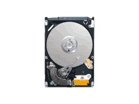 Seagate Momentus Laptop ST9160314AS