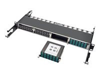 Tripp Lite 40G to 10G Breakout Cassette 2 12-Fiber MTP/MPO to 12 LC Duplex