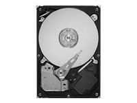 Seagate SV35.5 Series ST3500410SV