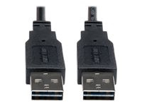 Tripp Lite 10ft USB 2.0 High Speed Reversible Connector Cable Universal M/M 10'