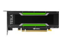 NVIDIA Tesla P40