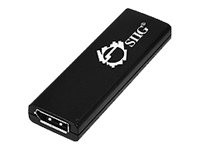 SIIG USB 3.0 to DisplayPort Adapter