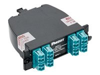 Panduit QuickNet 40 to 10GbE Fiber Optic Cassette